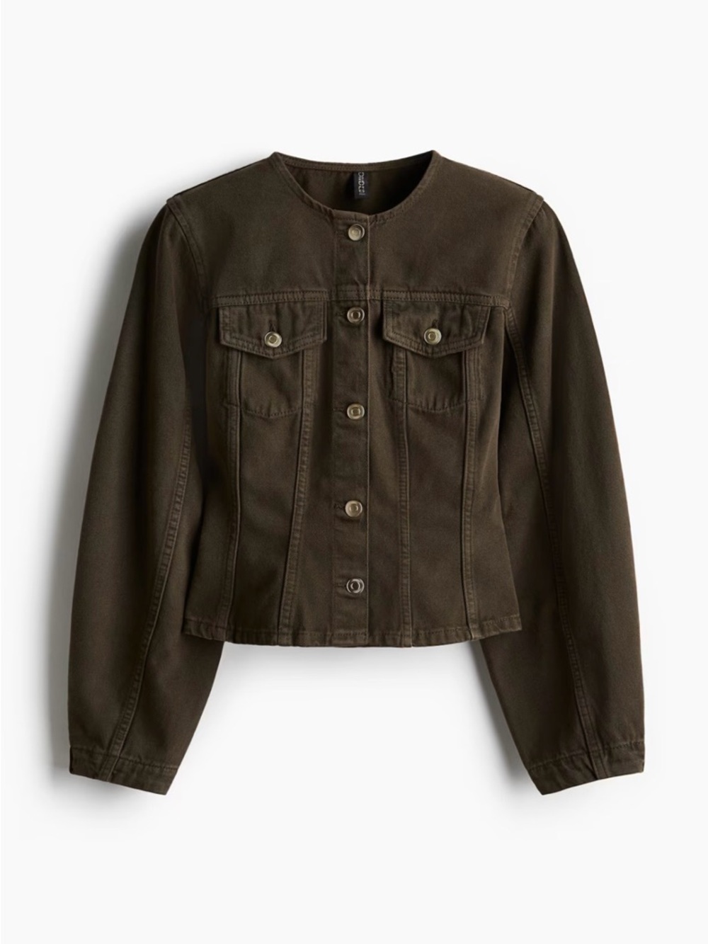 Classic Olive Crewneck Jacket - Women